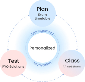 Plan - Exam timetable, Class - 1:1 sessions, Test - PYQ Solutions Personalized